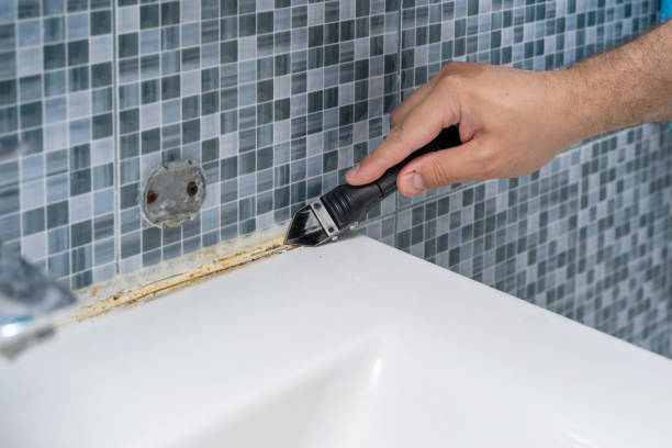 Best Industrial Mold Remediation in Eldorado, TX